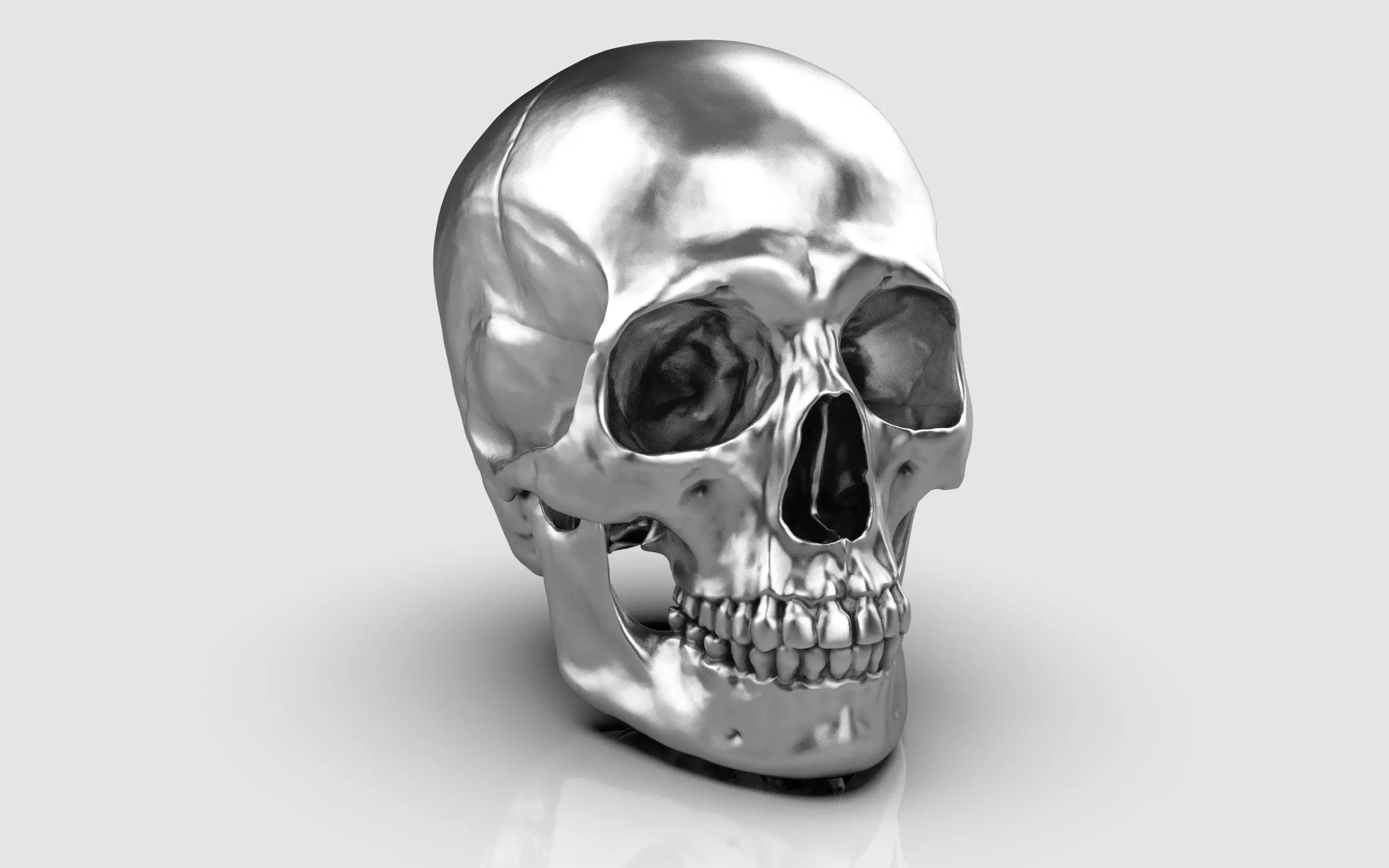 Skull Human 3D print model
