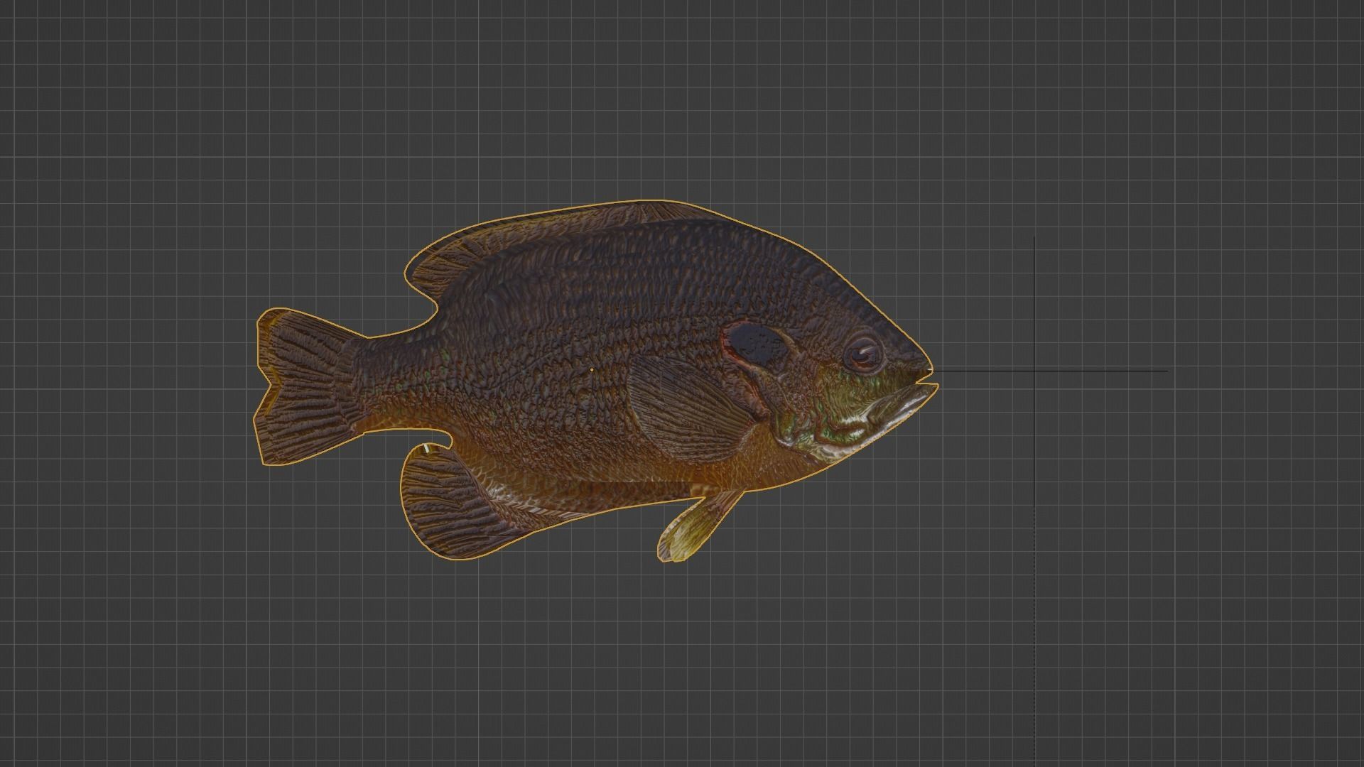 Sunfish Low Poly 3D model with Blender FREE Free 3D model_3