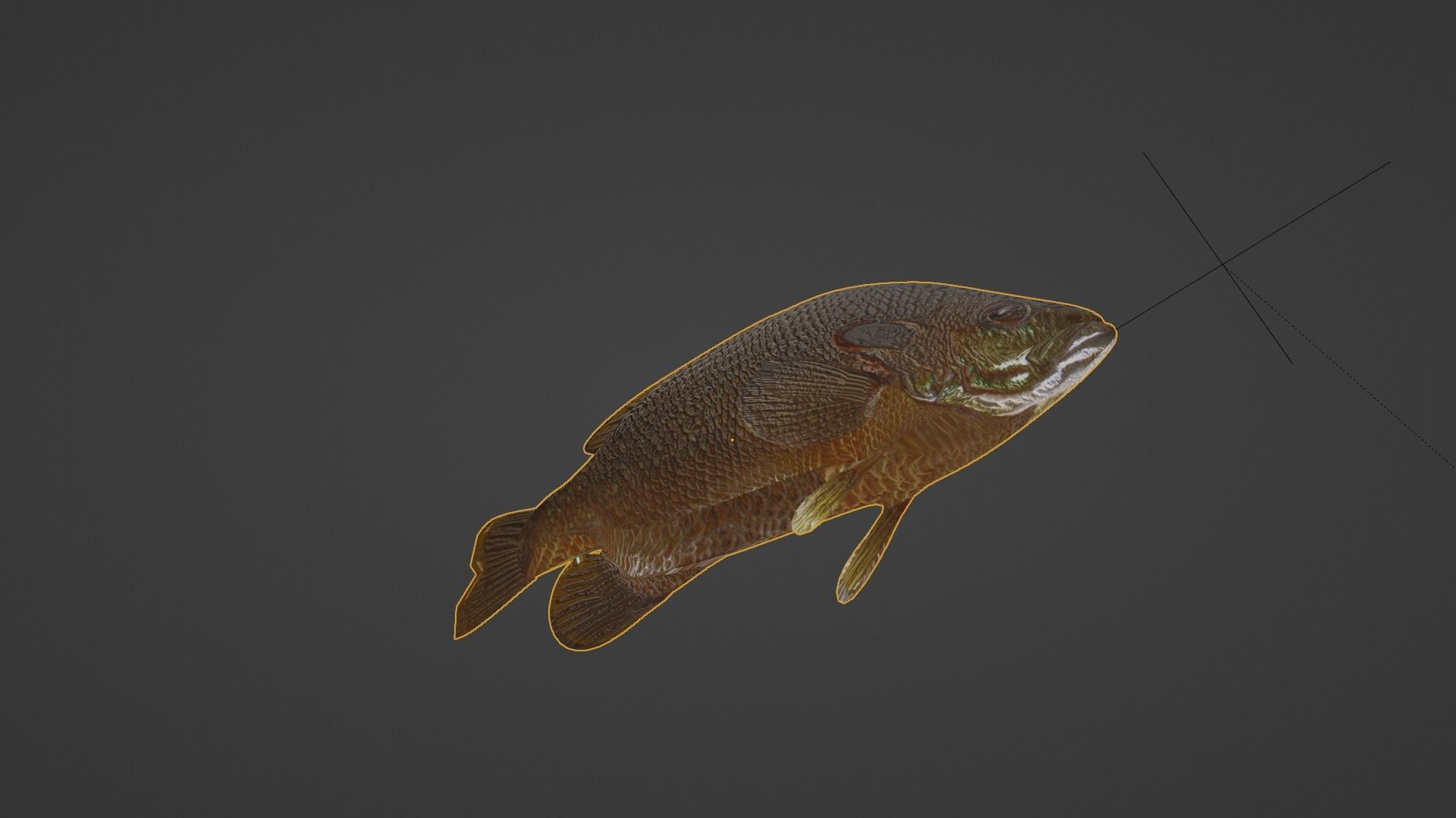 Sunfish Low Poly 3D model with Blender FREE Free 3D model_4