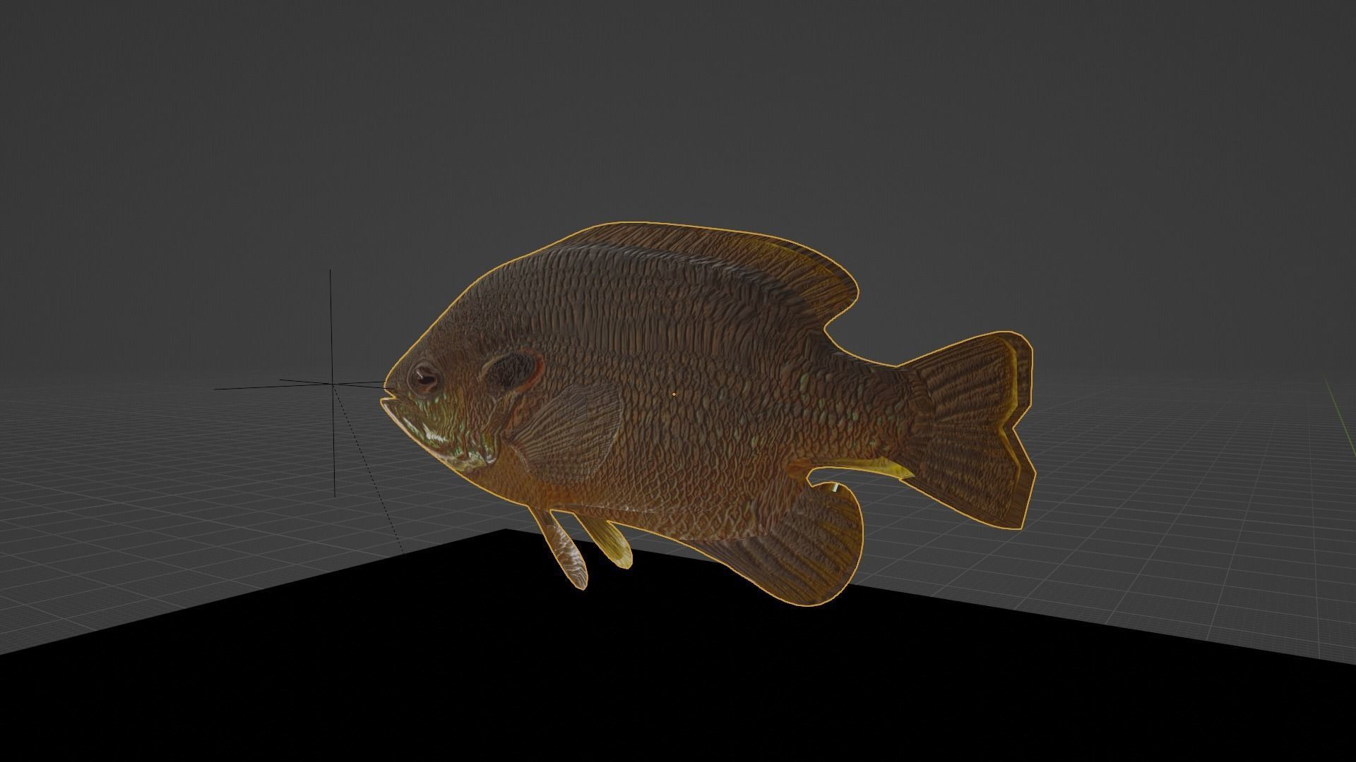 Sunfish Low Poly 3D model with Blender FREE Free 3D model_6