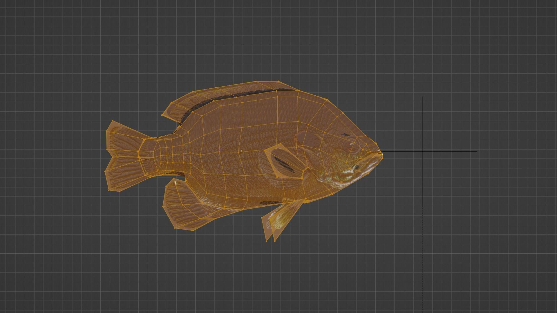Sunfish Low Poly 3D model with Blender FREE Free 3D model_2