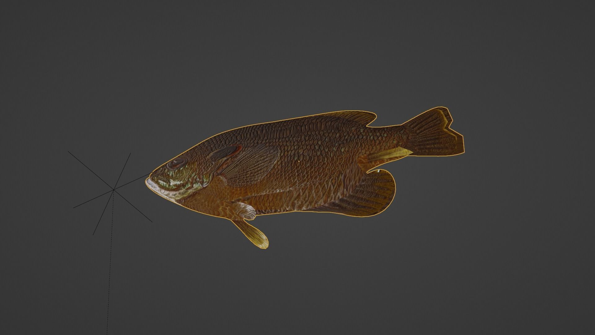 Sunfish Low Poly 3D model with Blender FREE Free 3D model_5
