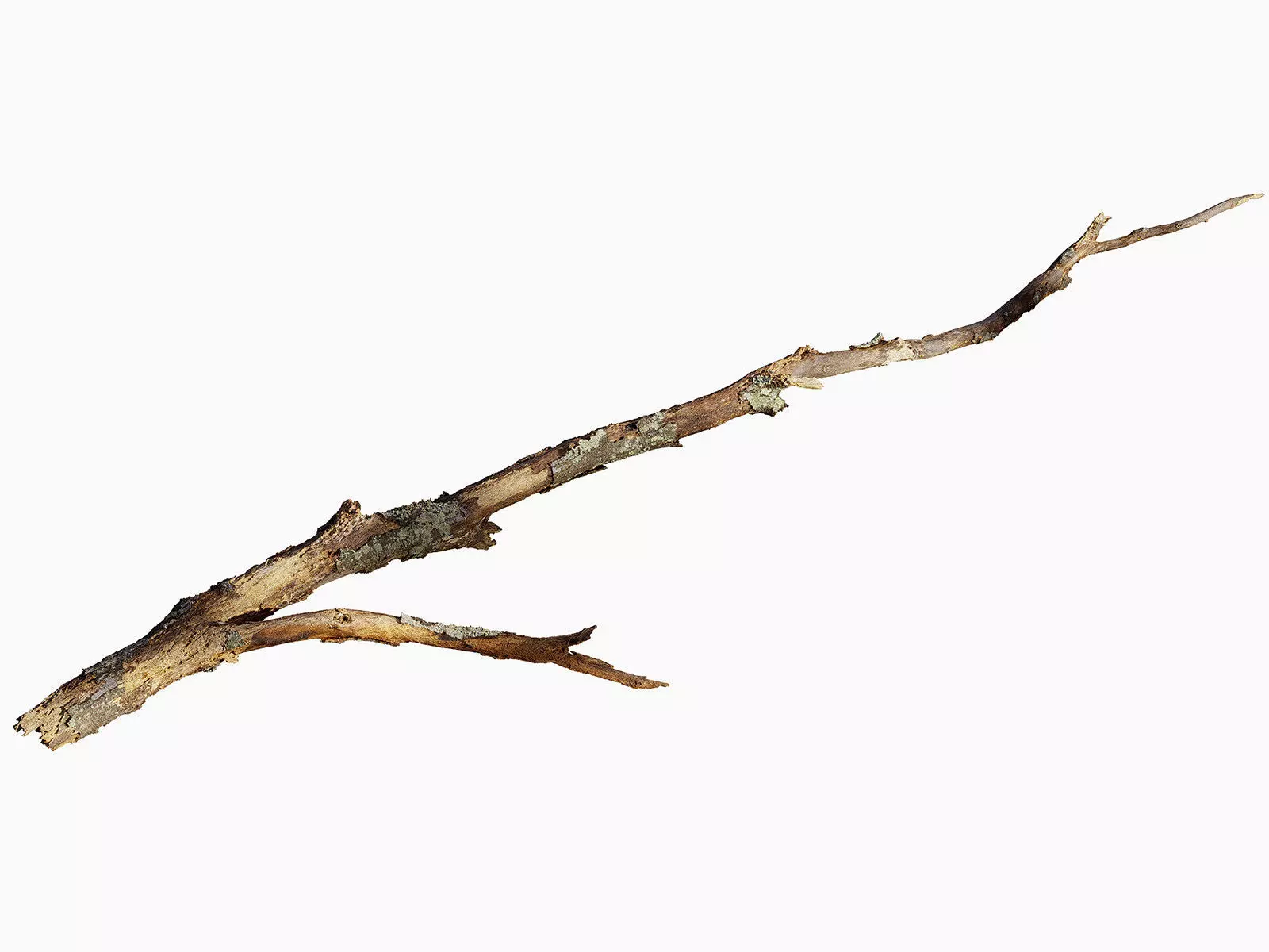 Broken Branch 01 Low-poly 3D model_0