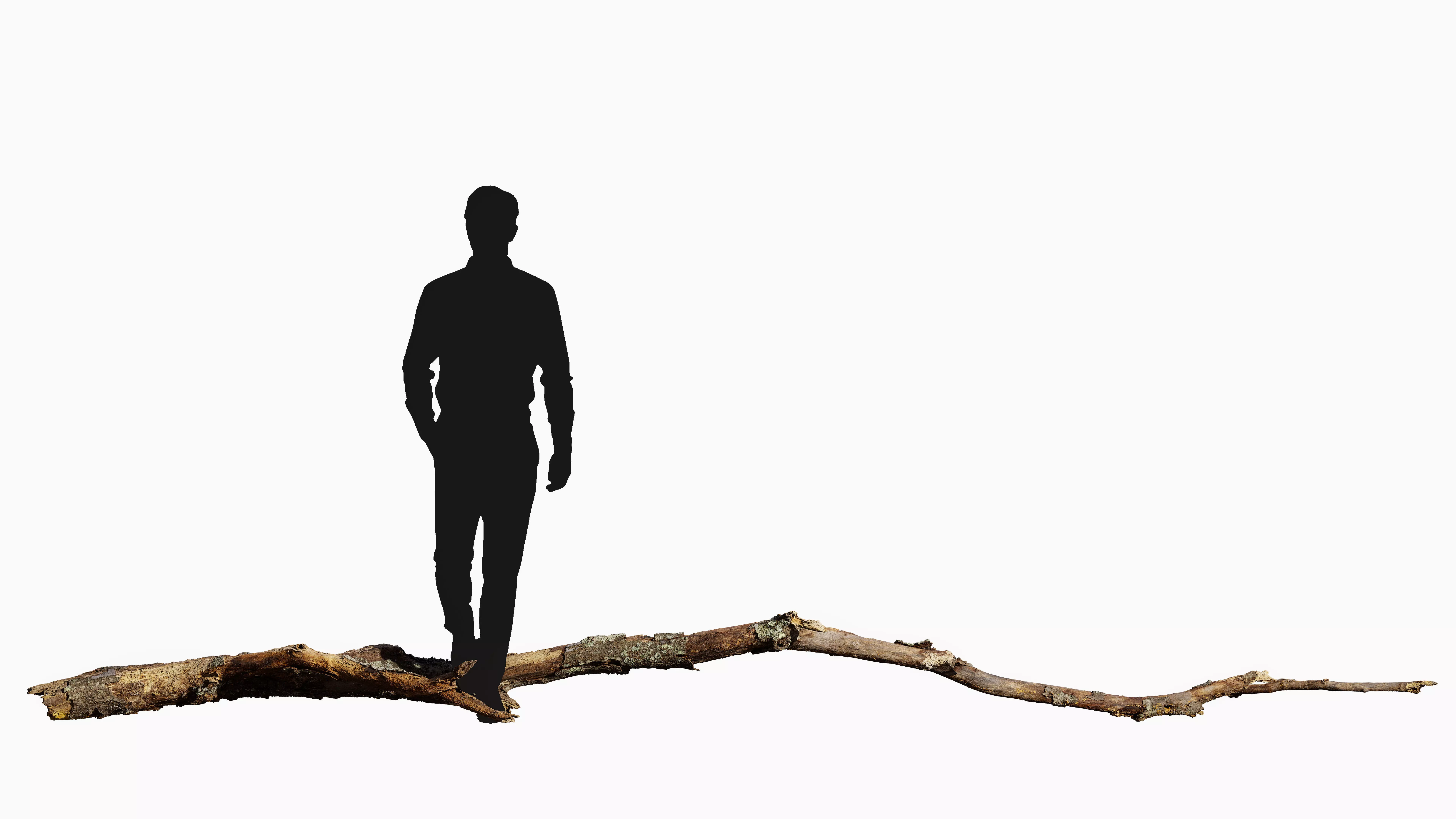 Broken Branch 01 Low-poly 3D model_1