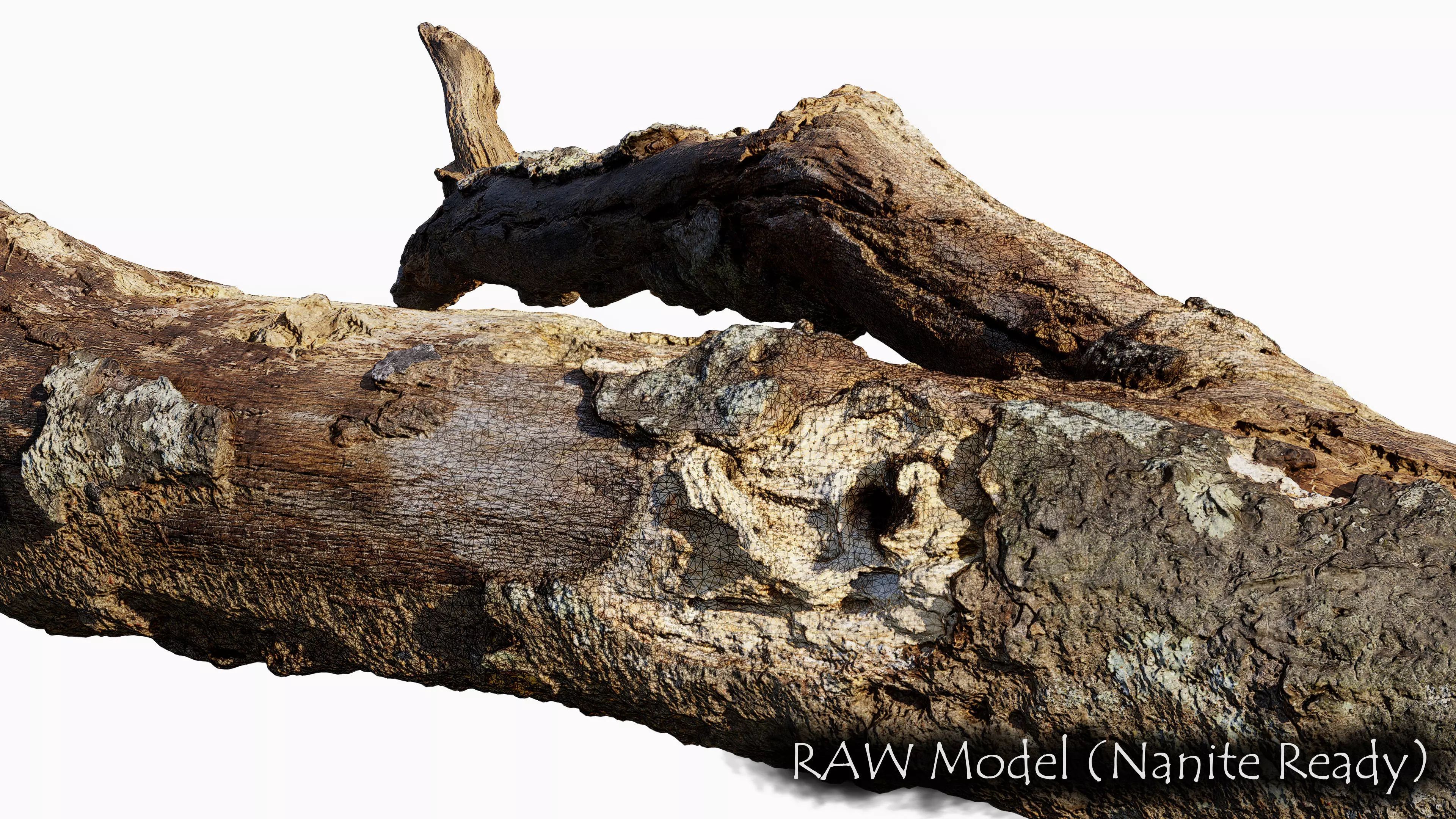 Broken Branch 01 Low-poly 3D model_4