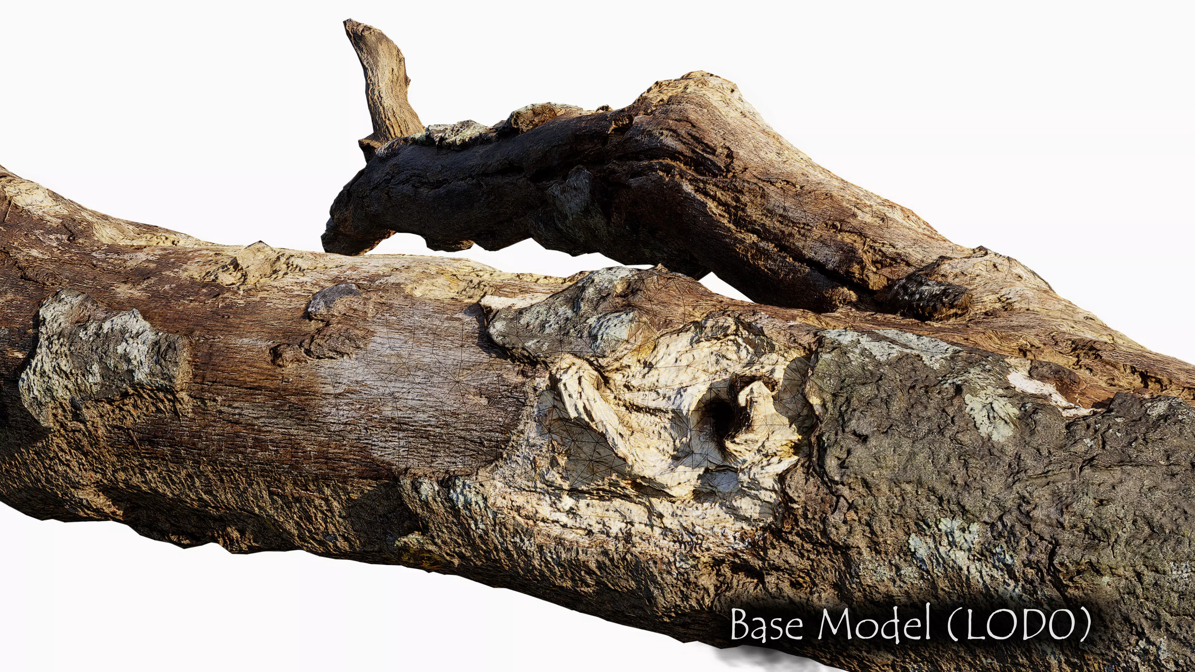 Broken Branch 01 Low-poly 3D model_5