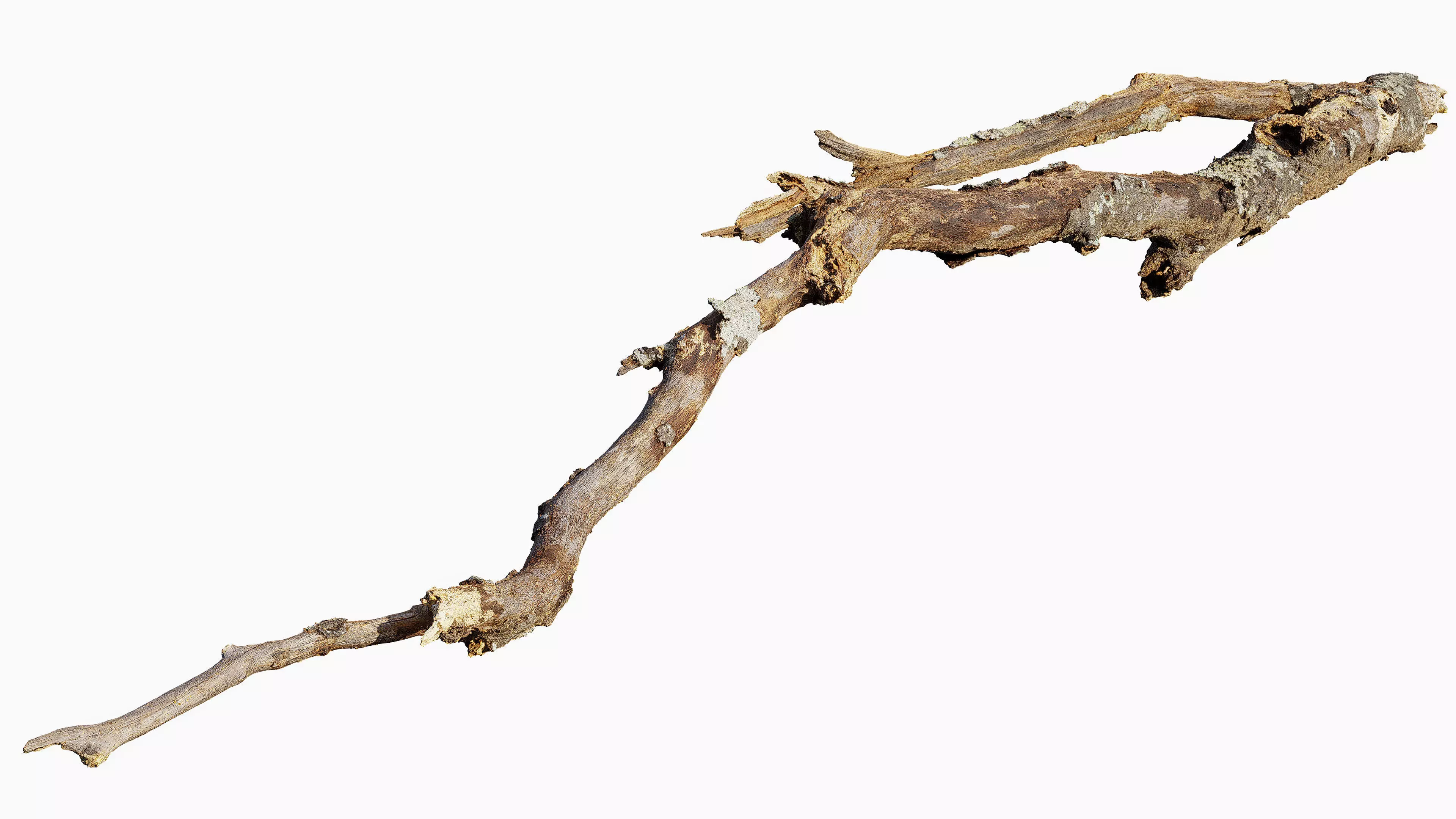 Broken Branch 01 Low-poly 3D model_7