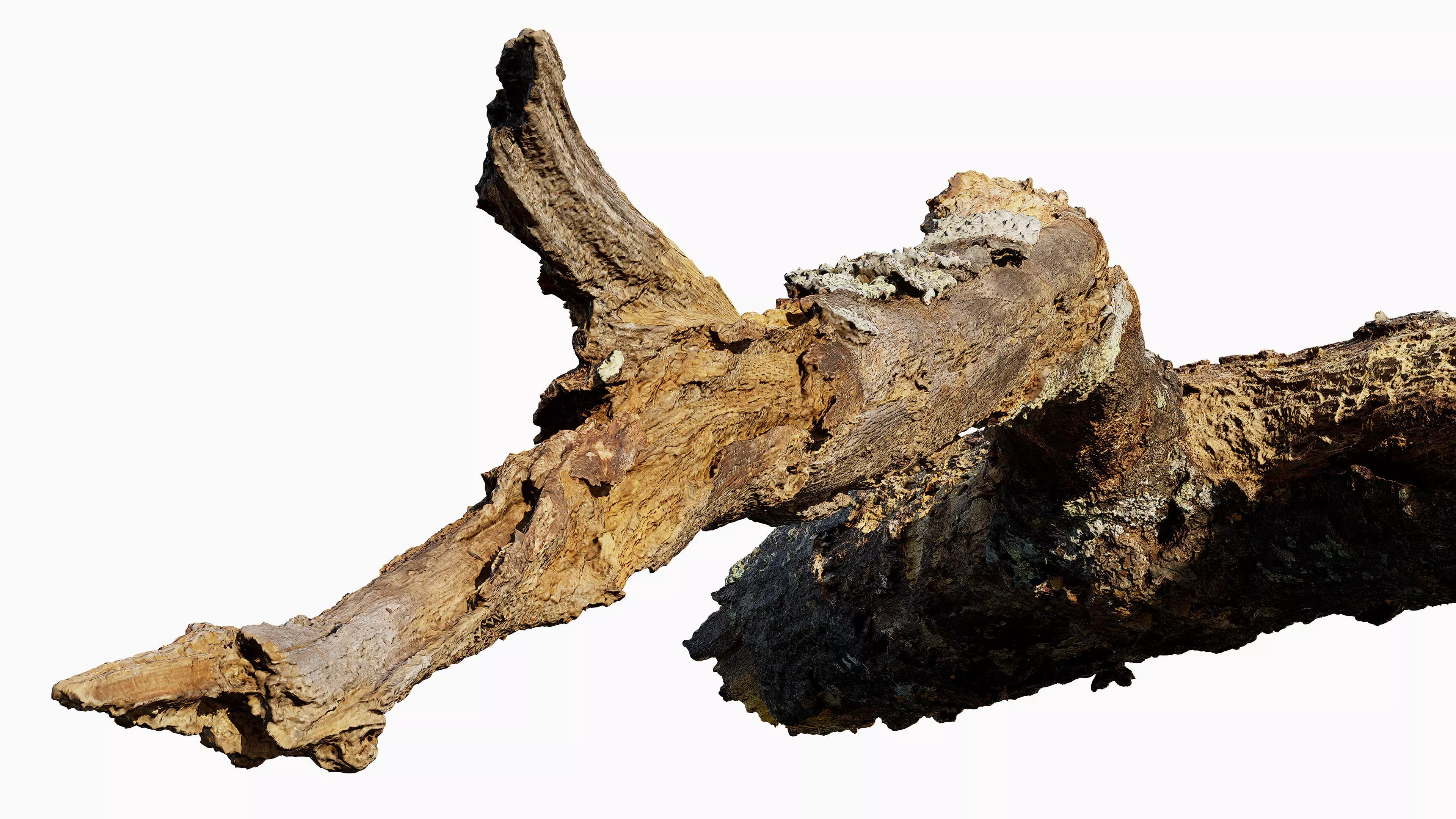 Broken Branch 01 Low-poly 3D model_9