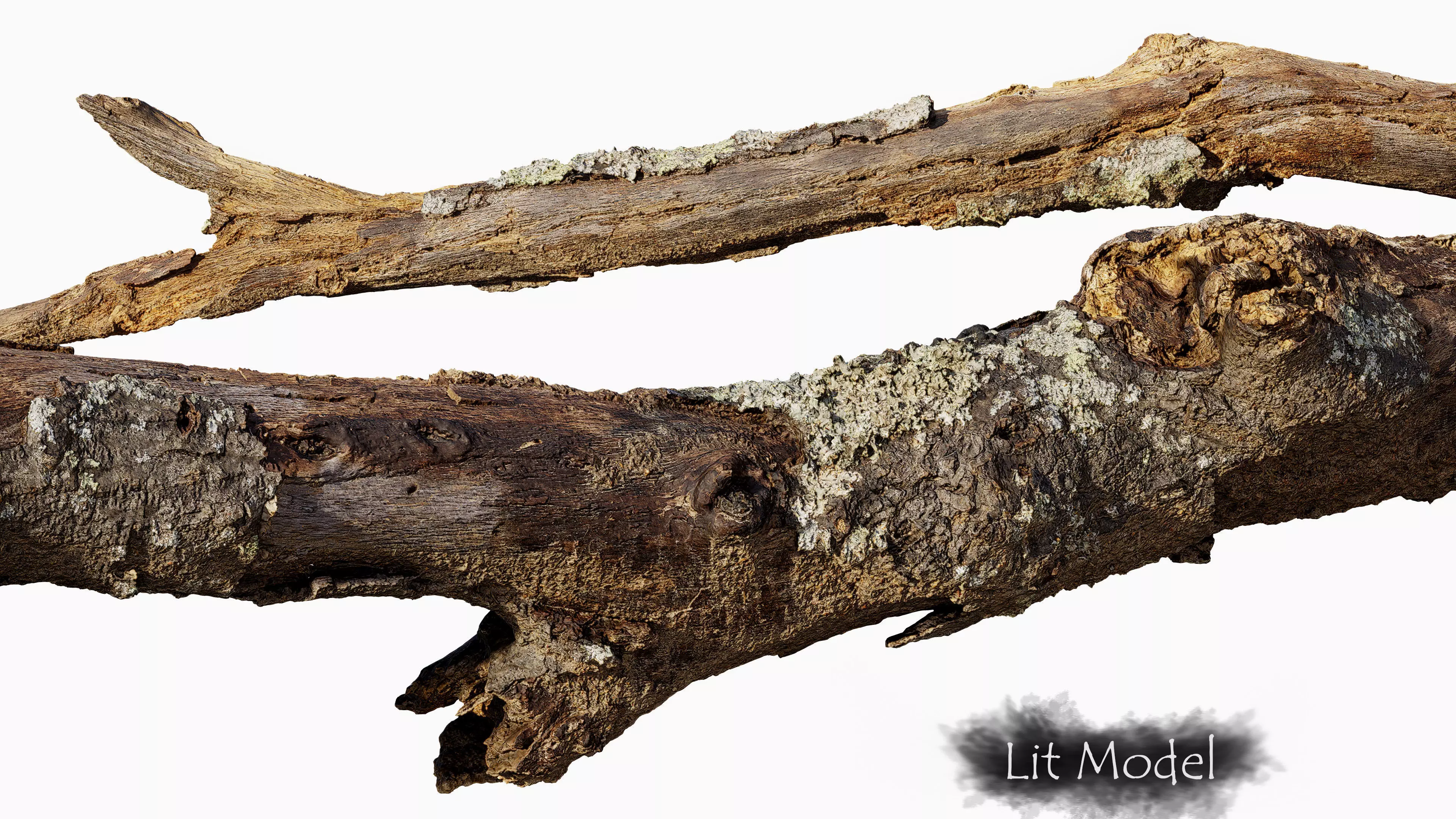 Broken Branch 01 Low-poly 3D model_2