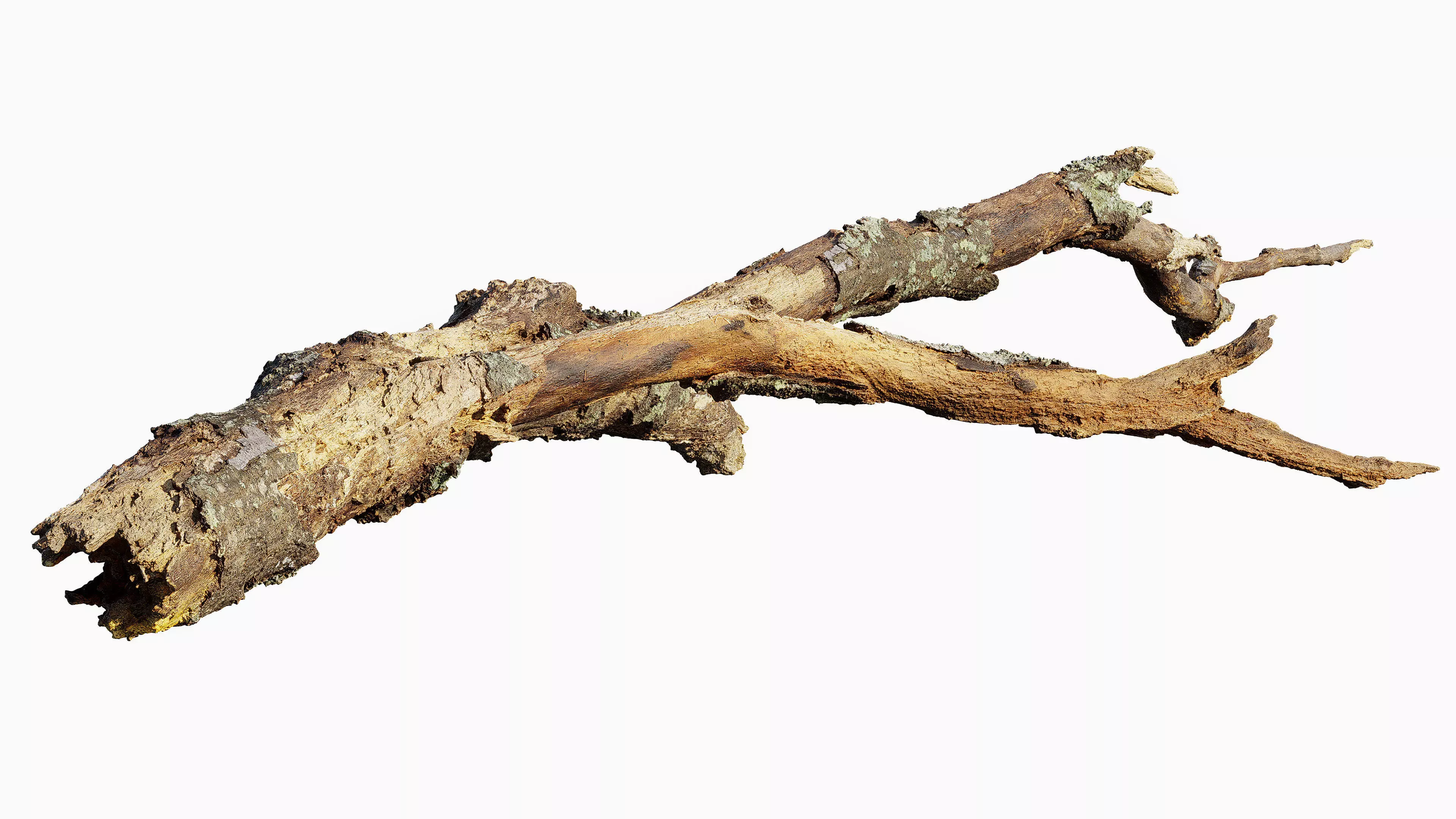 Broken Branch 01 Low-poly 3D model_6