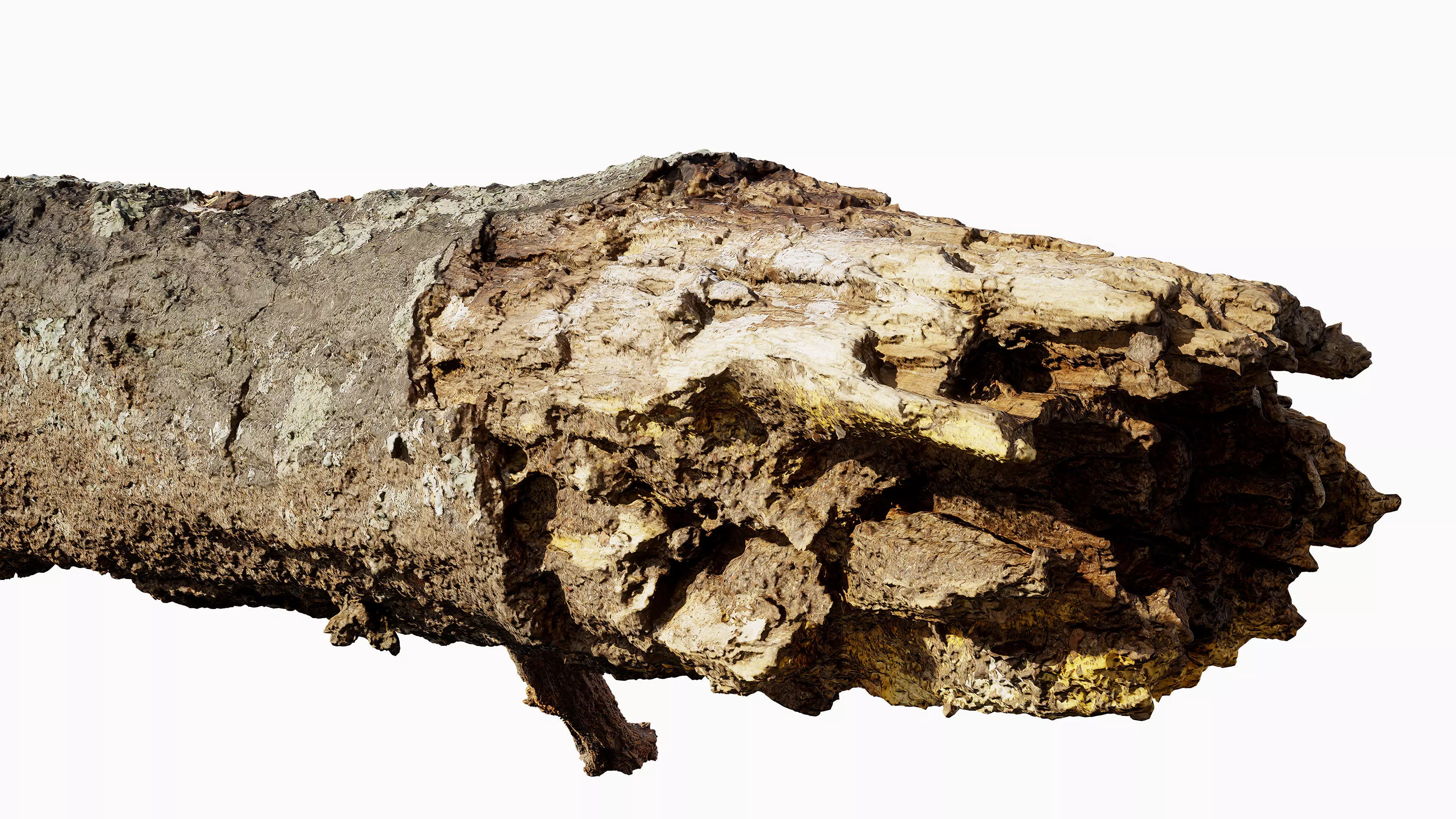 Broken Branch 01 Low-poly 3D model_10