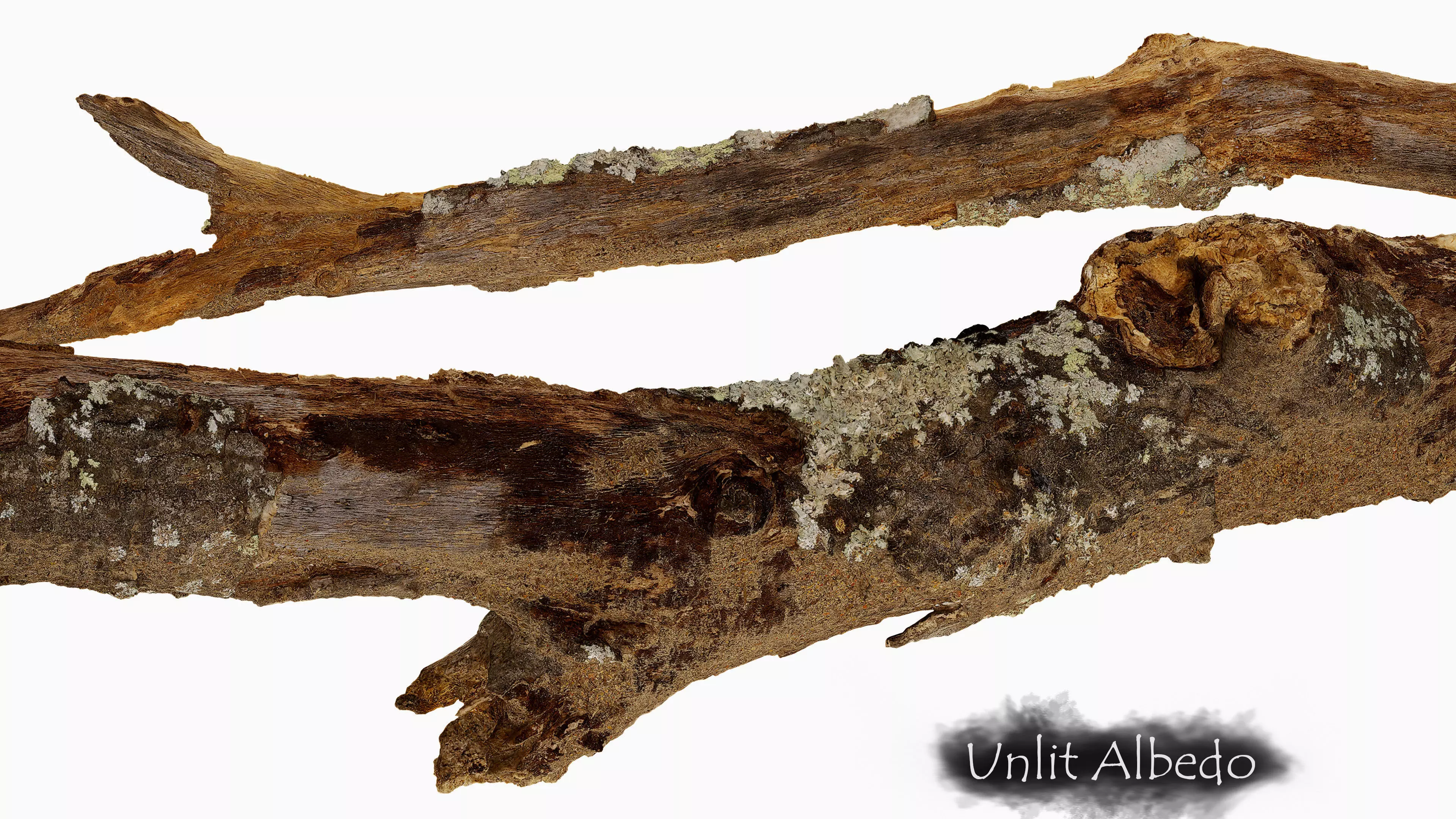 Broken Branch 01 Low-poly 3D model_3