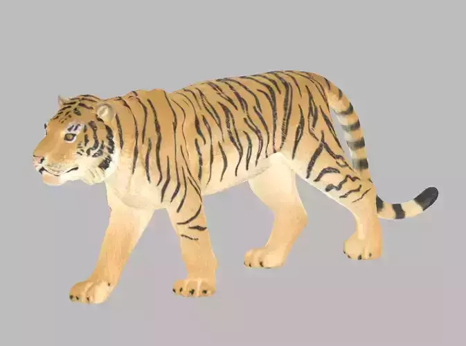Tiger 3D Model
