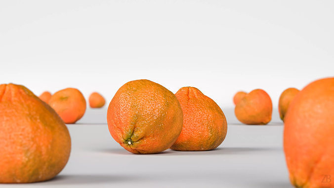 Clementine 3D model 2