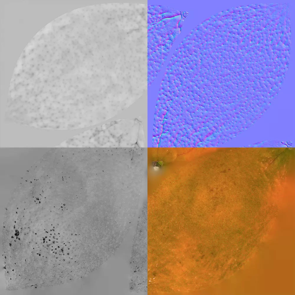 Clementine 3D model_8