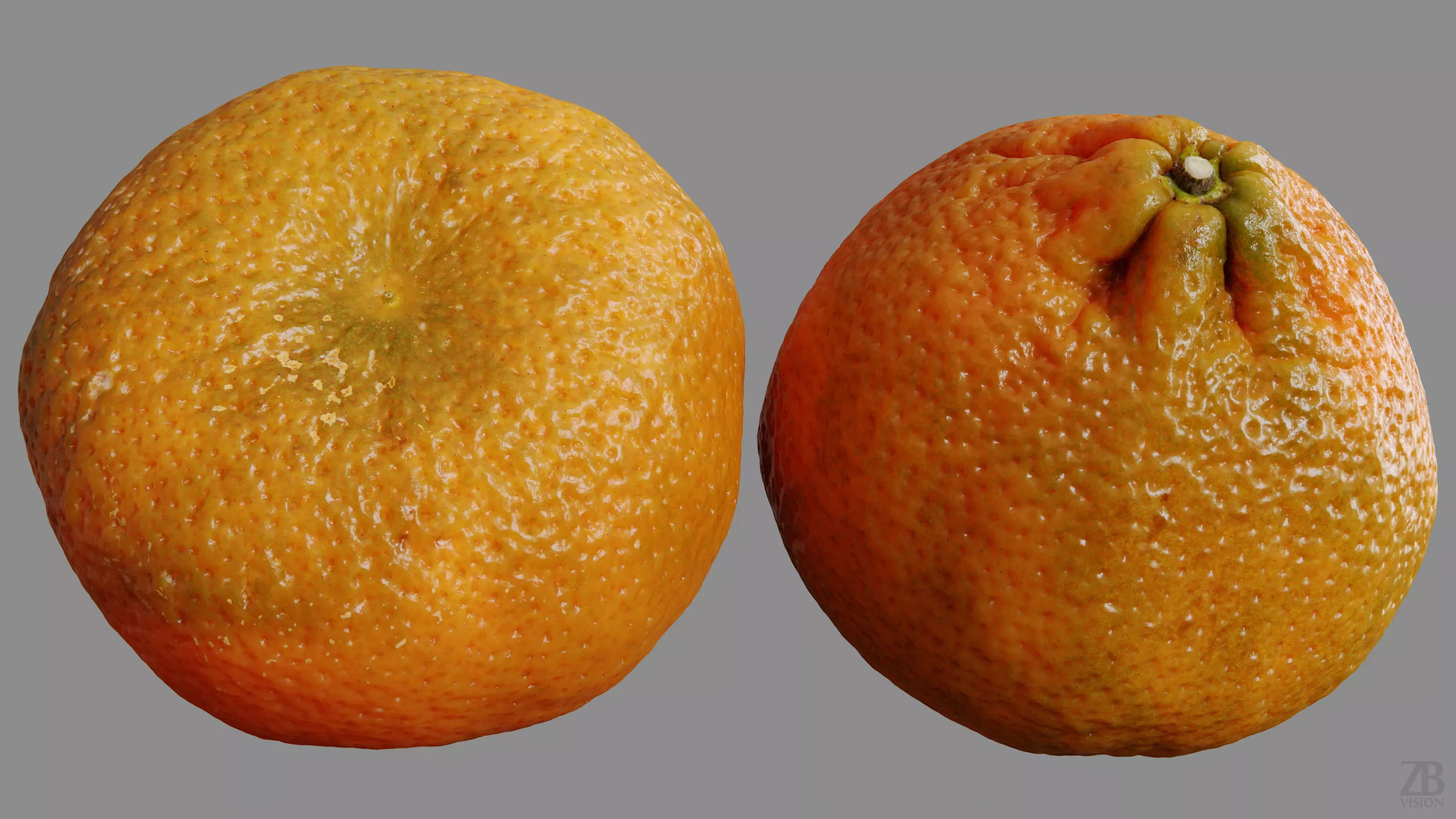Clementine 3D model_9