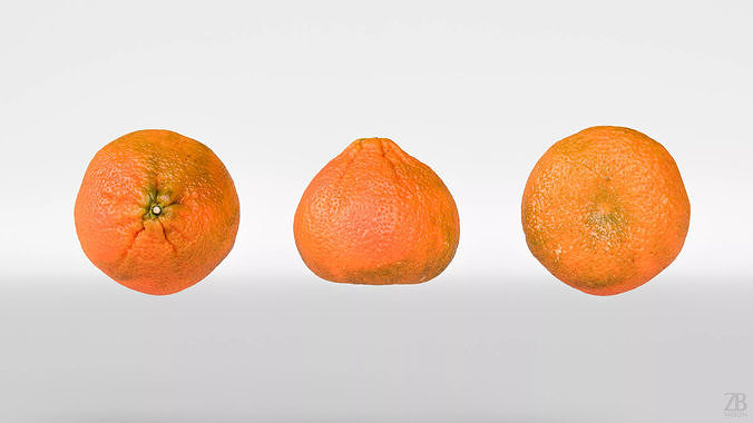 Clementine 3D model 5