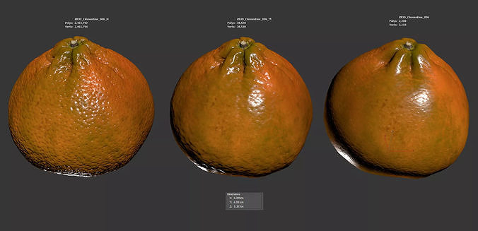 Clementine 3D model 6