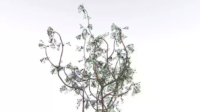 EVERYPlant Baiera 1 --14 Models-- 3D model