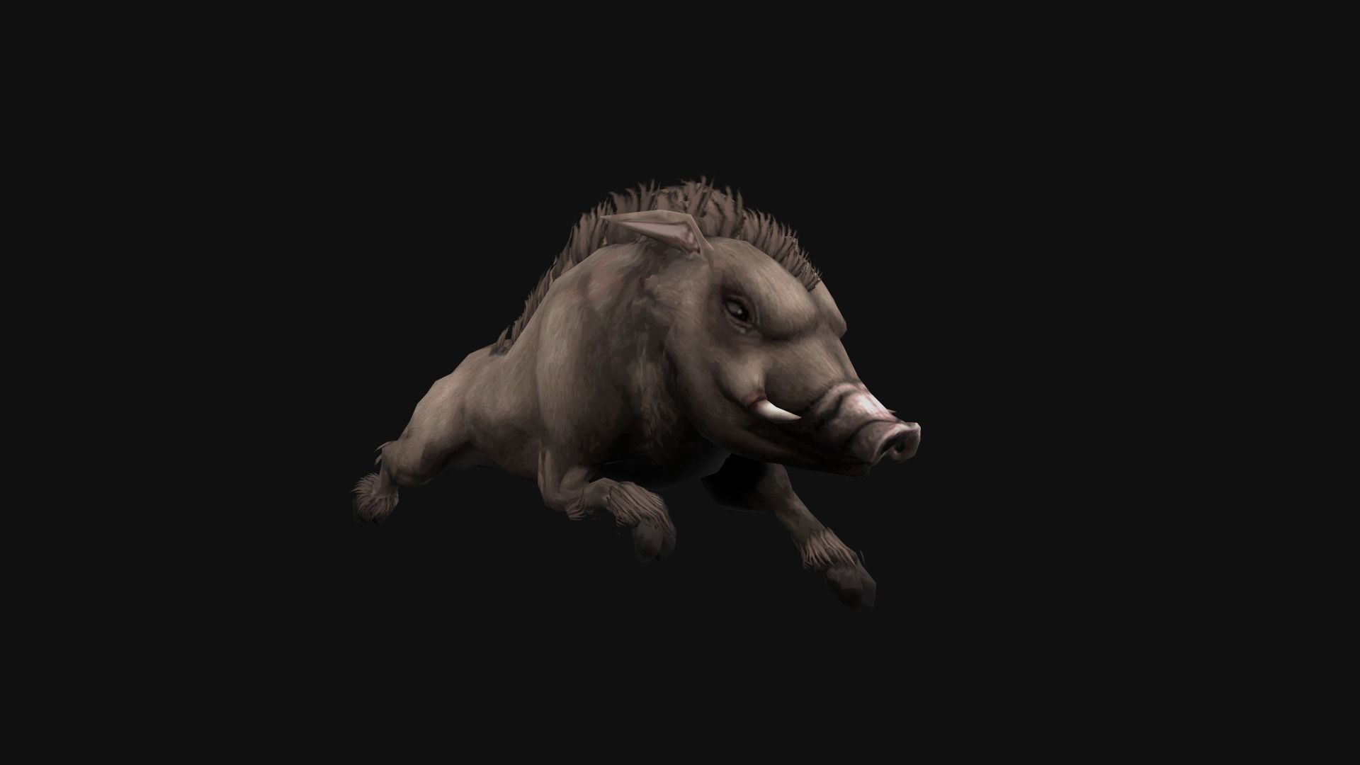 animated boar Low-poly 3D model_3