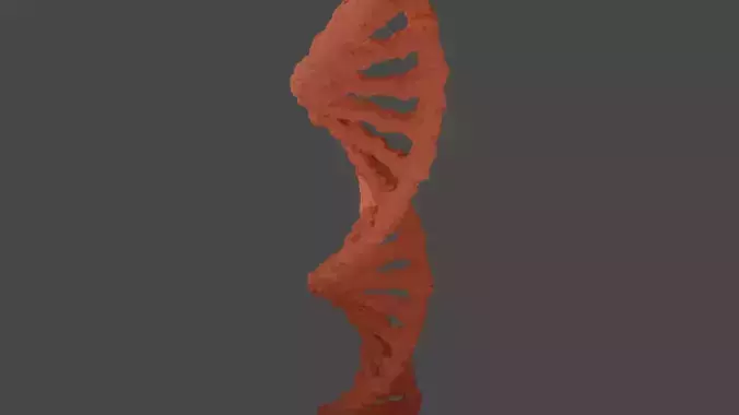 DNA Structure animation for scientific models Low-poly 3D model