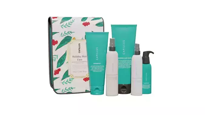 Cosmetic kits Holiday Hair Care Kit