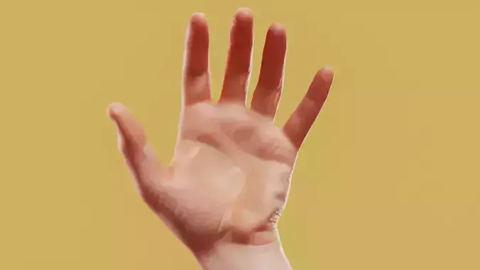 Relaxed Male Single Hand 015 Low-poly 3D model