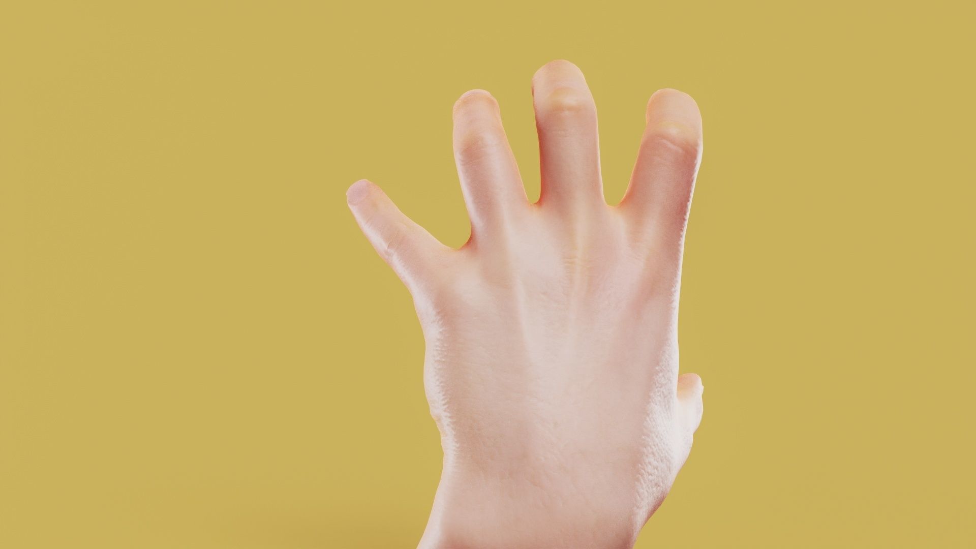 Claw Male Single Hand 011 Low-poly 3D model_6