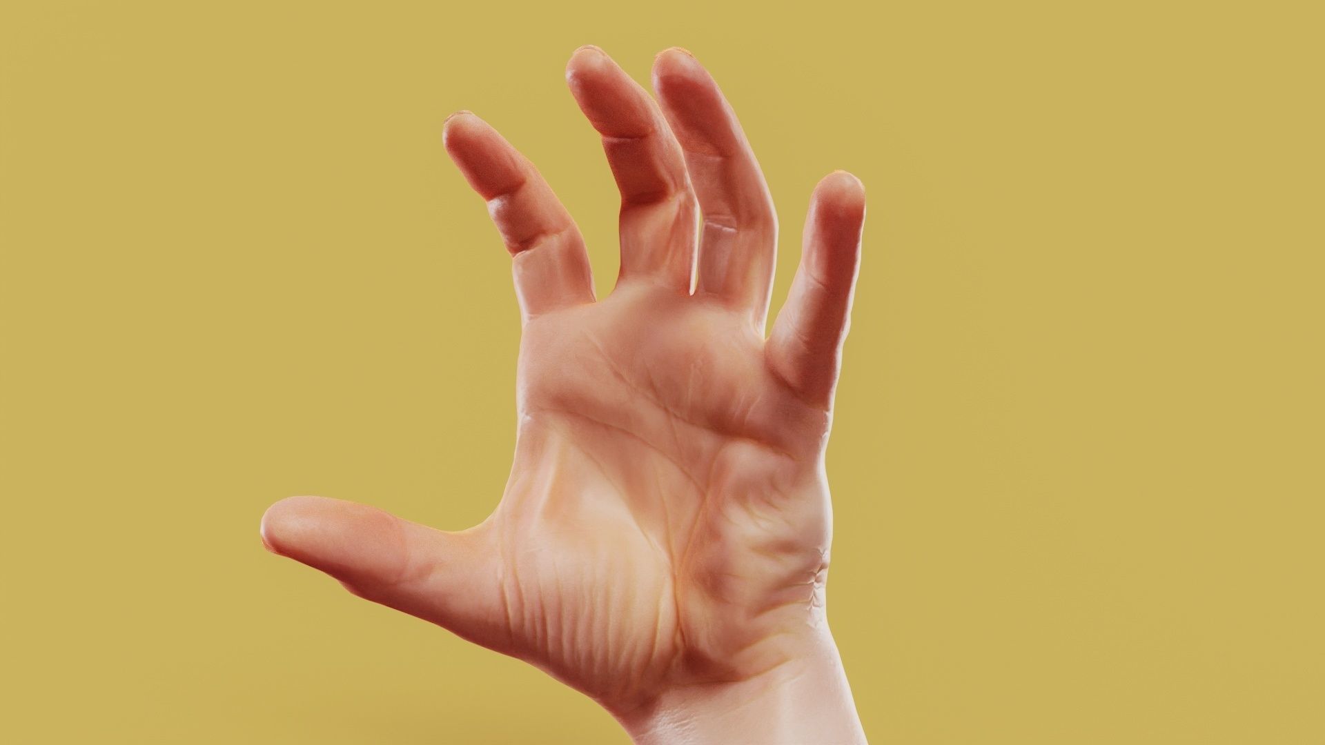 Claw Male Single Hand 011 Low-poly 3D model_11