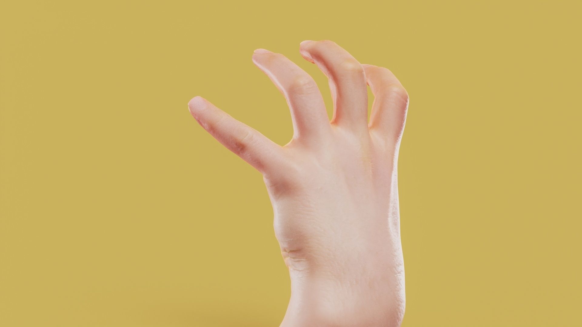 Claw Male Single Hand 011 Low-poly 3D model_7