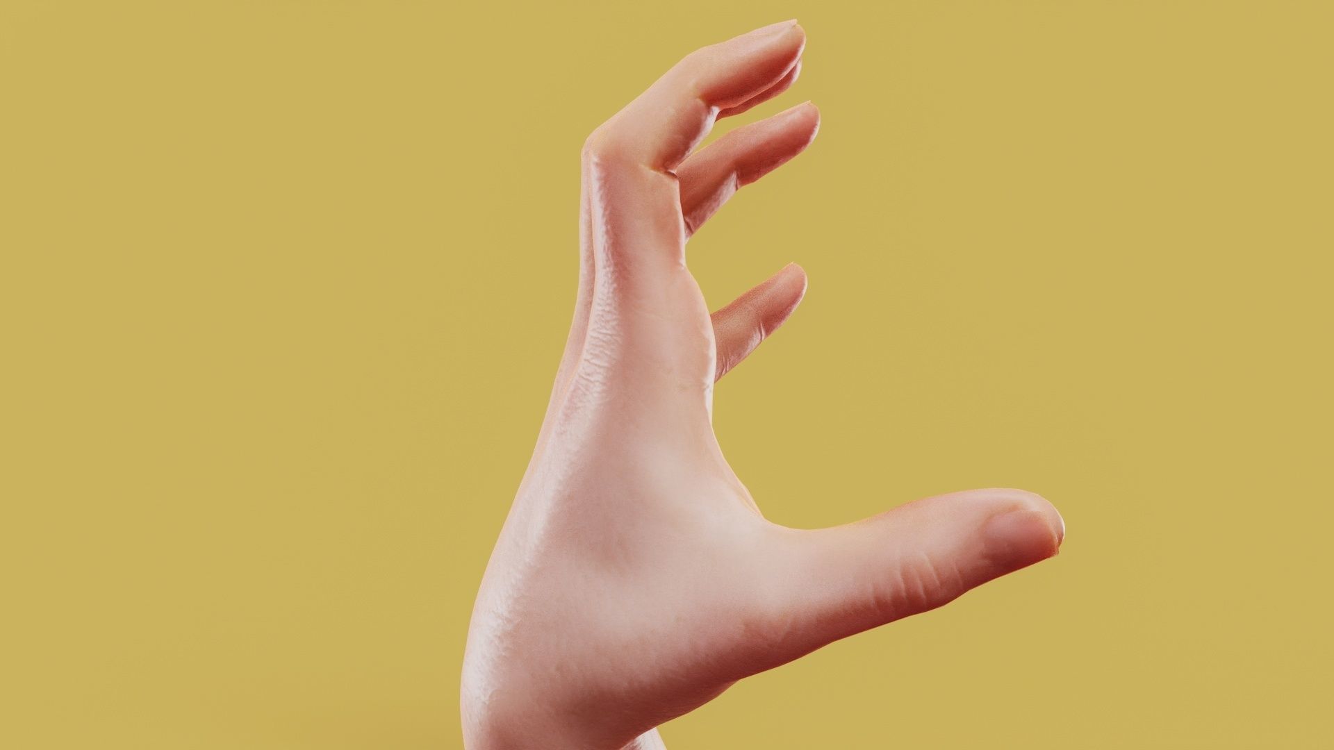 Claw Male Single Hand 011 Low-poly 3D model_3