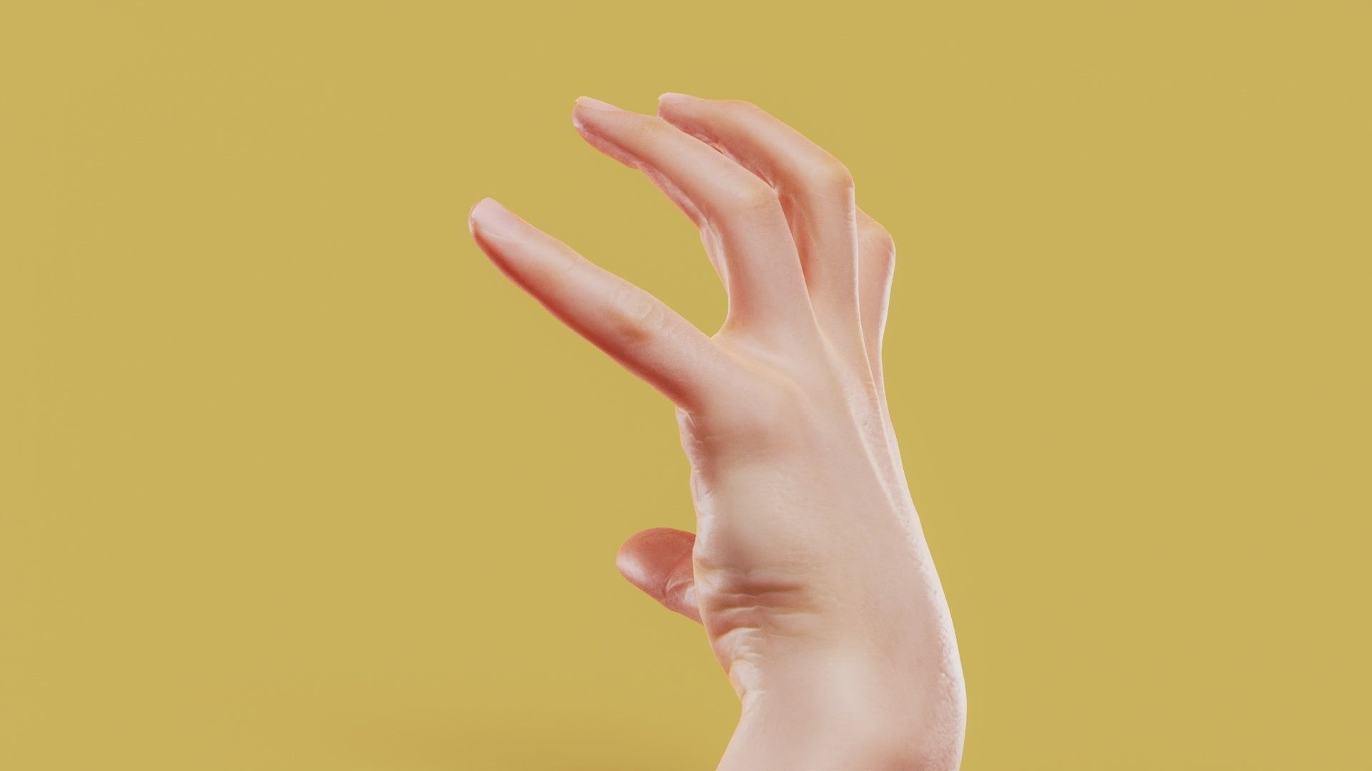 Claw Male Single Hand 011 Low-poly 3D model_8