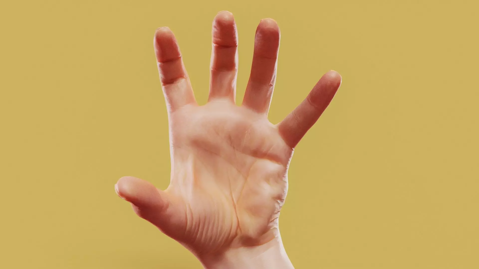 Claw Male Single Hand 011 Low-poly 3D model_0