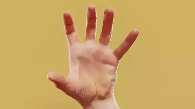 Claw Male Single Hand 011 Low-poly 3D model