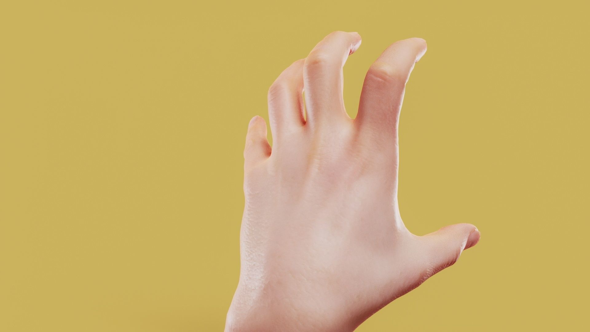 Claw Male Single Hand 011 Low-poly 3D model_5