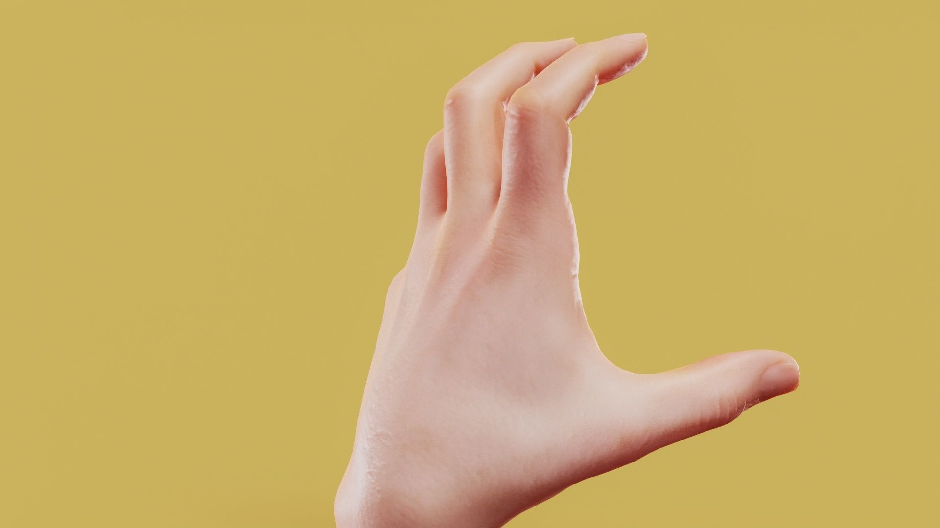 Claw Male Single Hand 011 Low-poly 3D model_4