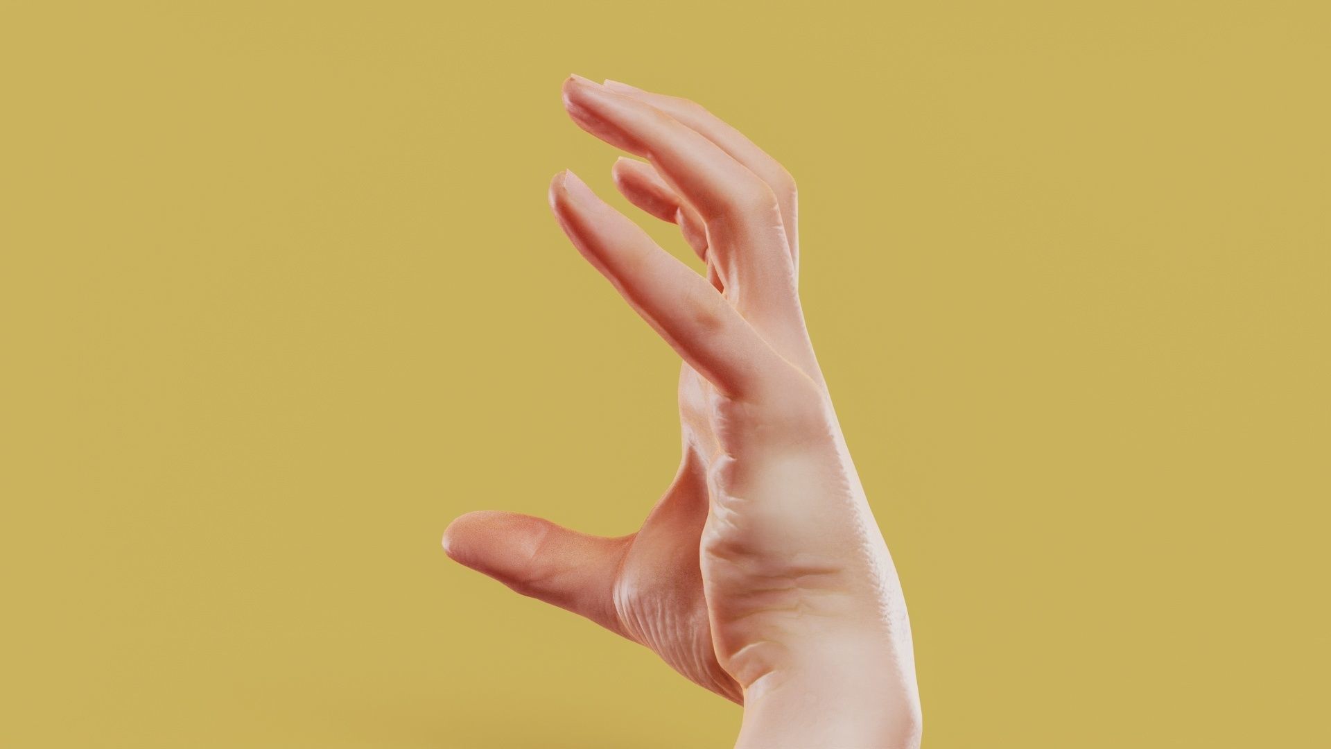 Claw Male Single Hand 011 Low-poly 3D model_9