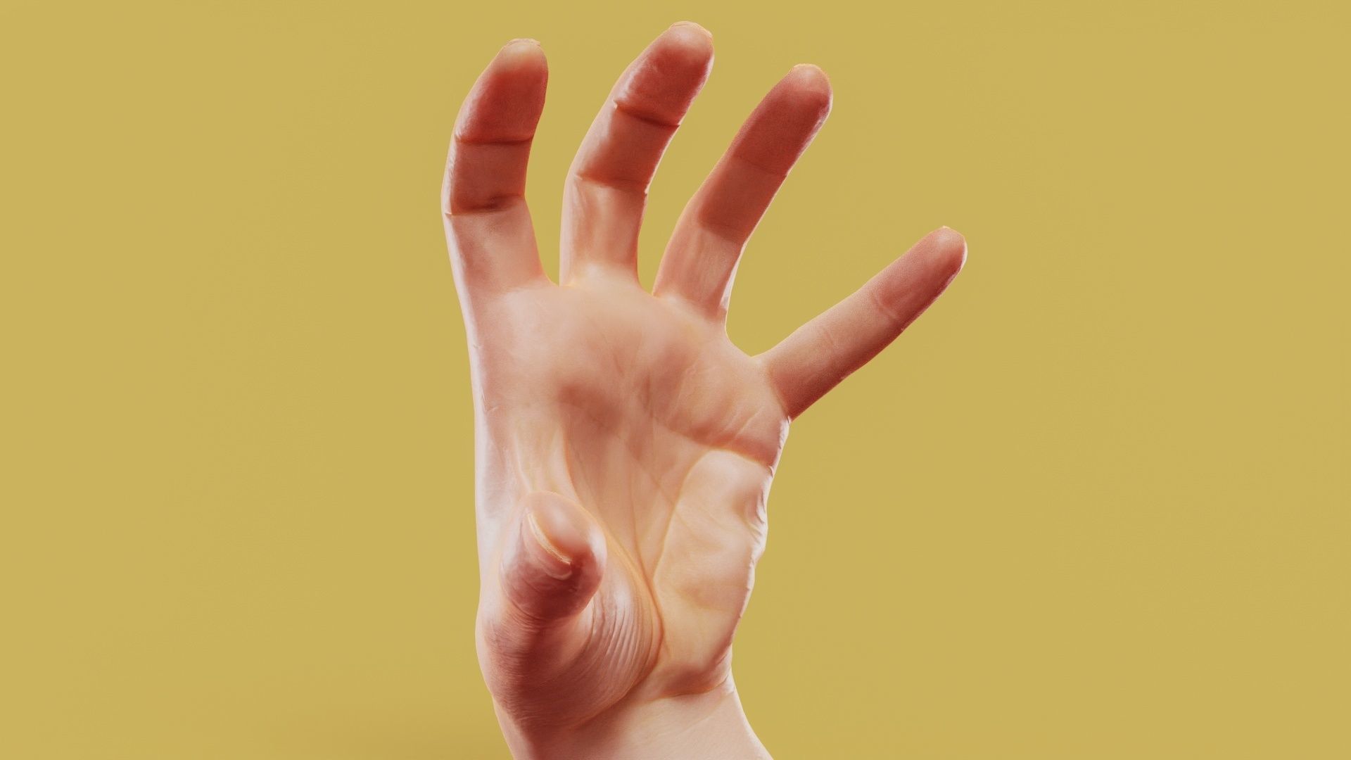 Claw Male Single Hand 011 Low-poly 3D model_1