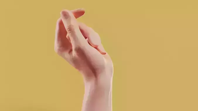 Snap Male Single Hand 006 Low-poly 3D model