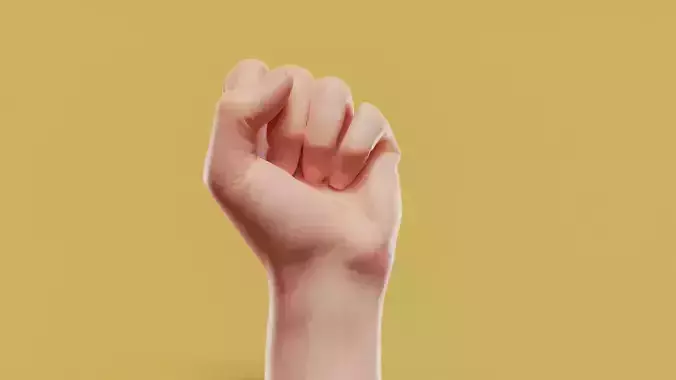 The Fist Male Single Hand 005 Low-poly 3D model