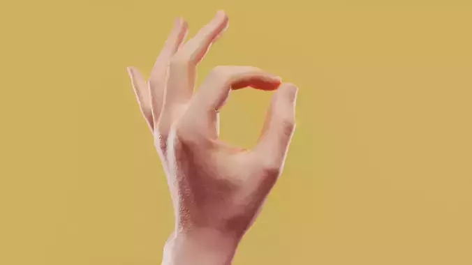 Perfect Male Single Hand 003 Low-poly 3D model