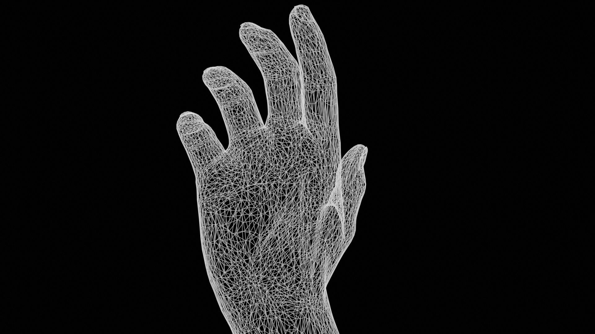 Elegant Male Single Hand 001 Low-poly 3D model_13