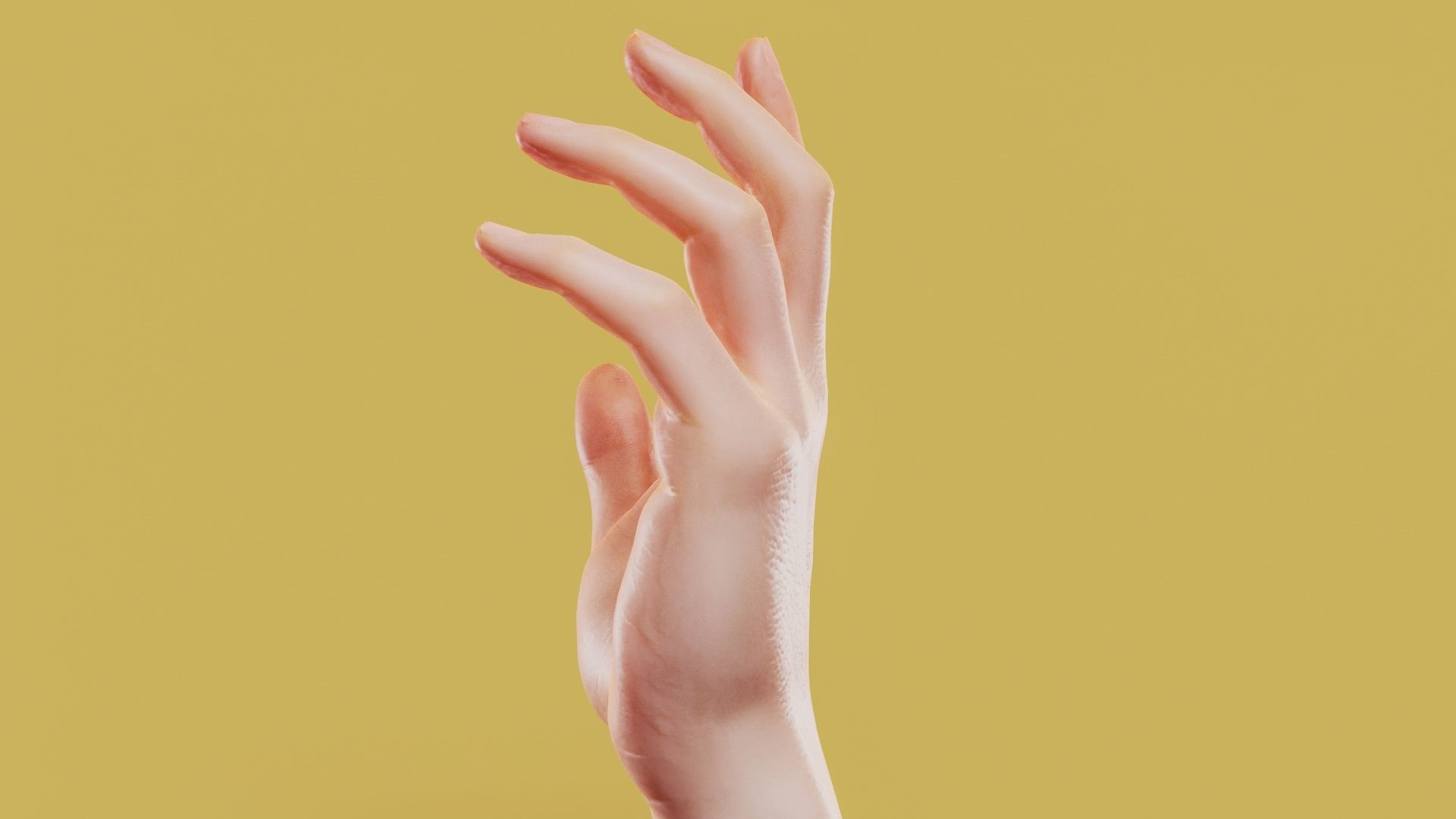 Elegant Male Single Hand 001 Low-poly 3D model_8