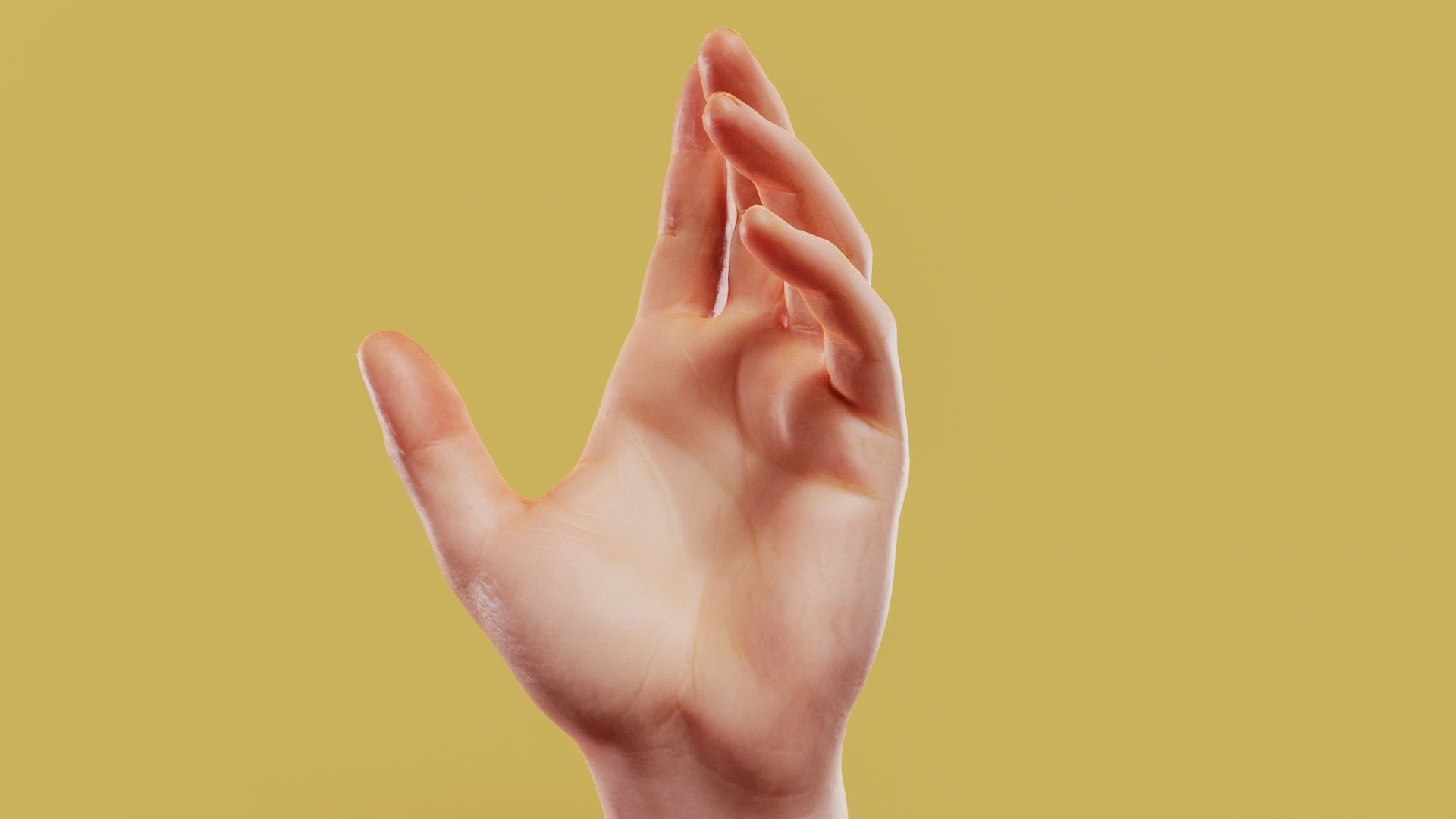 Elegant Male Single Hand 001 Low-poly 3D model_10