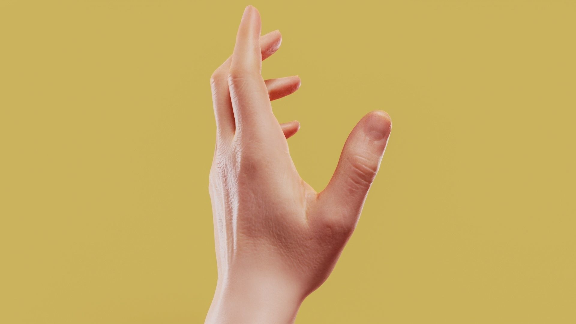 Elegant Male Single Hand 001 Low-poly 3D model_3