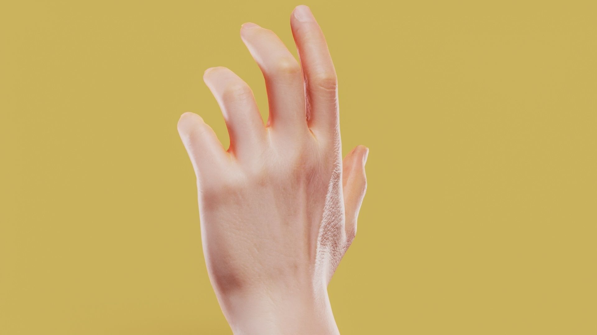 Elegant Male Single Hand 001 Low-poly 3D model_6