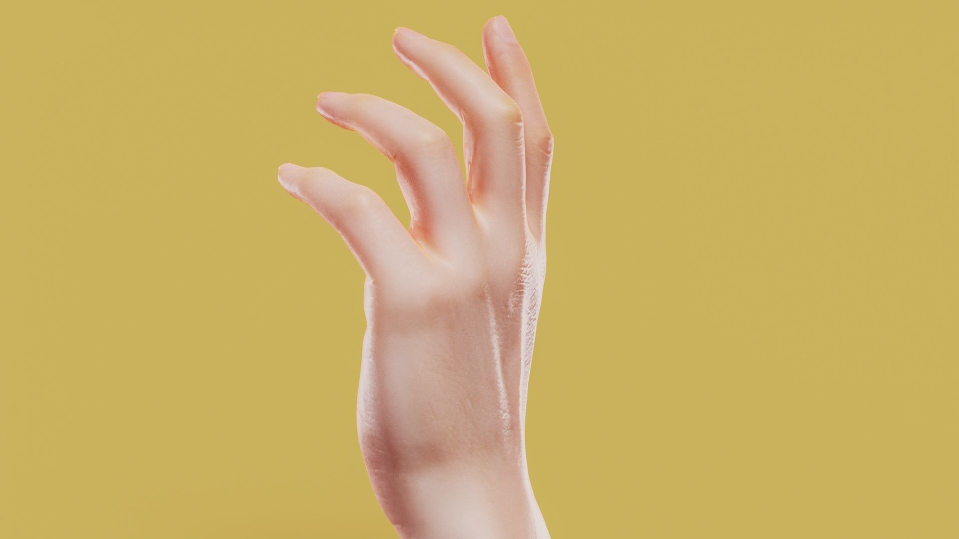 Elegant Male Single Hand 001 Low-poly 3D model_7