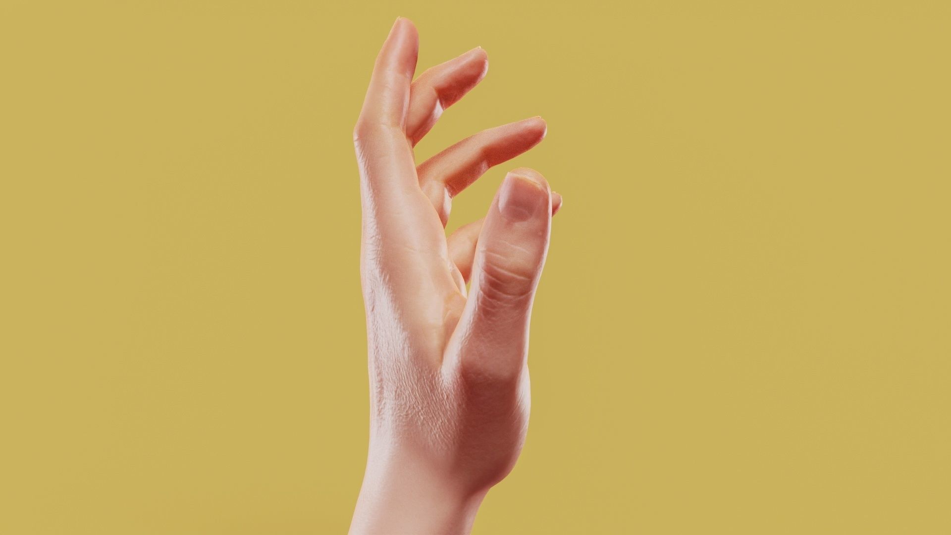 Elegant Male Single Hand 001 Low-poly 3D model_2