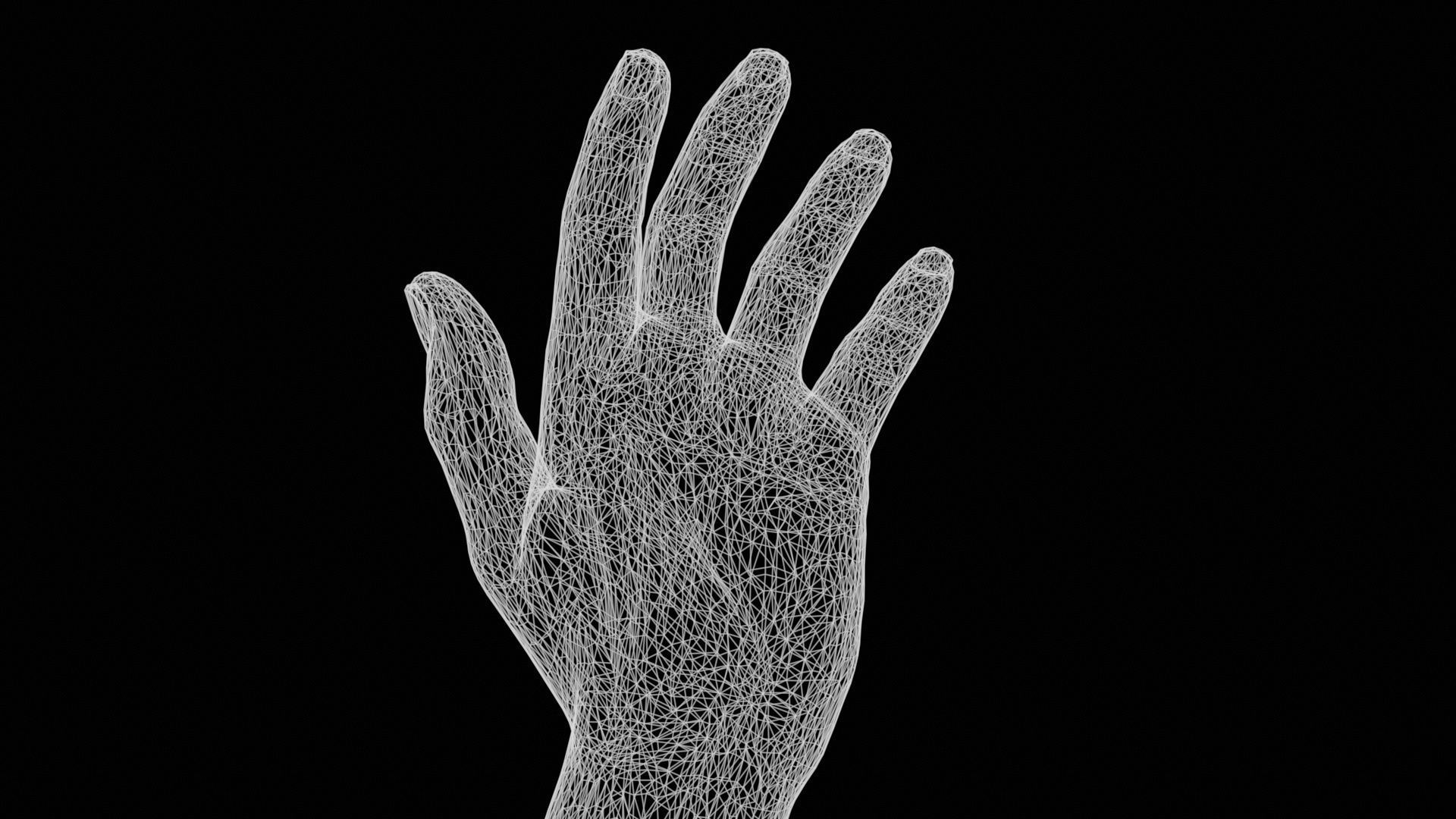 Elegant Male Single Hand 001 Low-poly 3D model_12