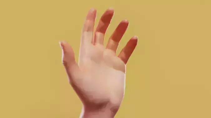 Elegant Male Single Hand 001 Low-poly 3D model